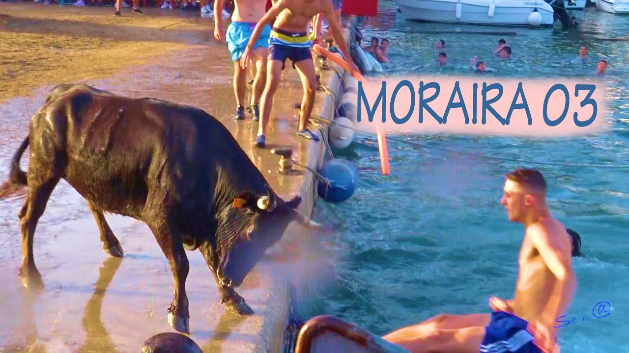✅2023 MORAIRA 03 Bous a la Mar Ganadería Templanza