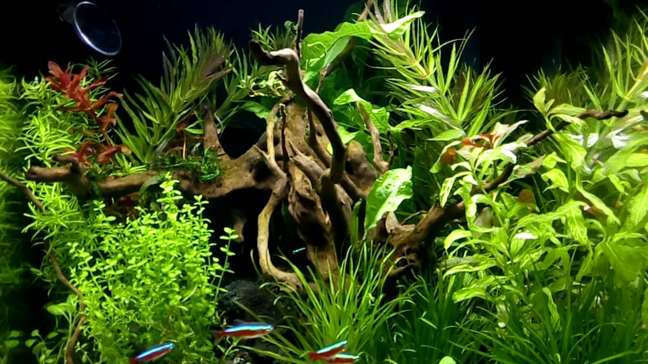 NANO CUBE