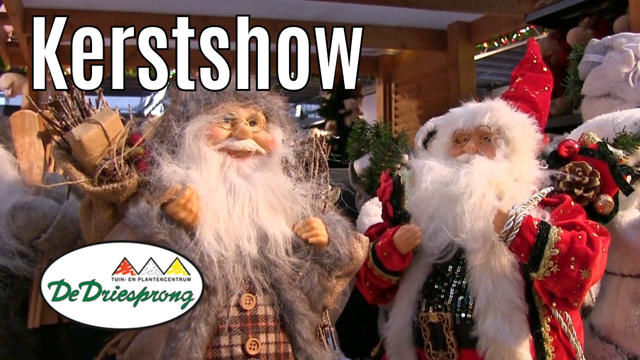 Kerstshow TC de Driesprong Zoetermeer 2024 ⭐⭐⭐⭐⭐part 3