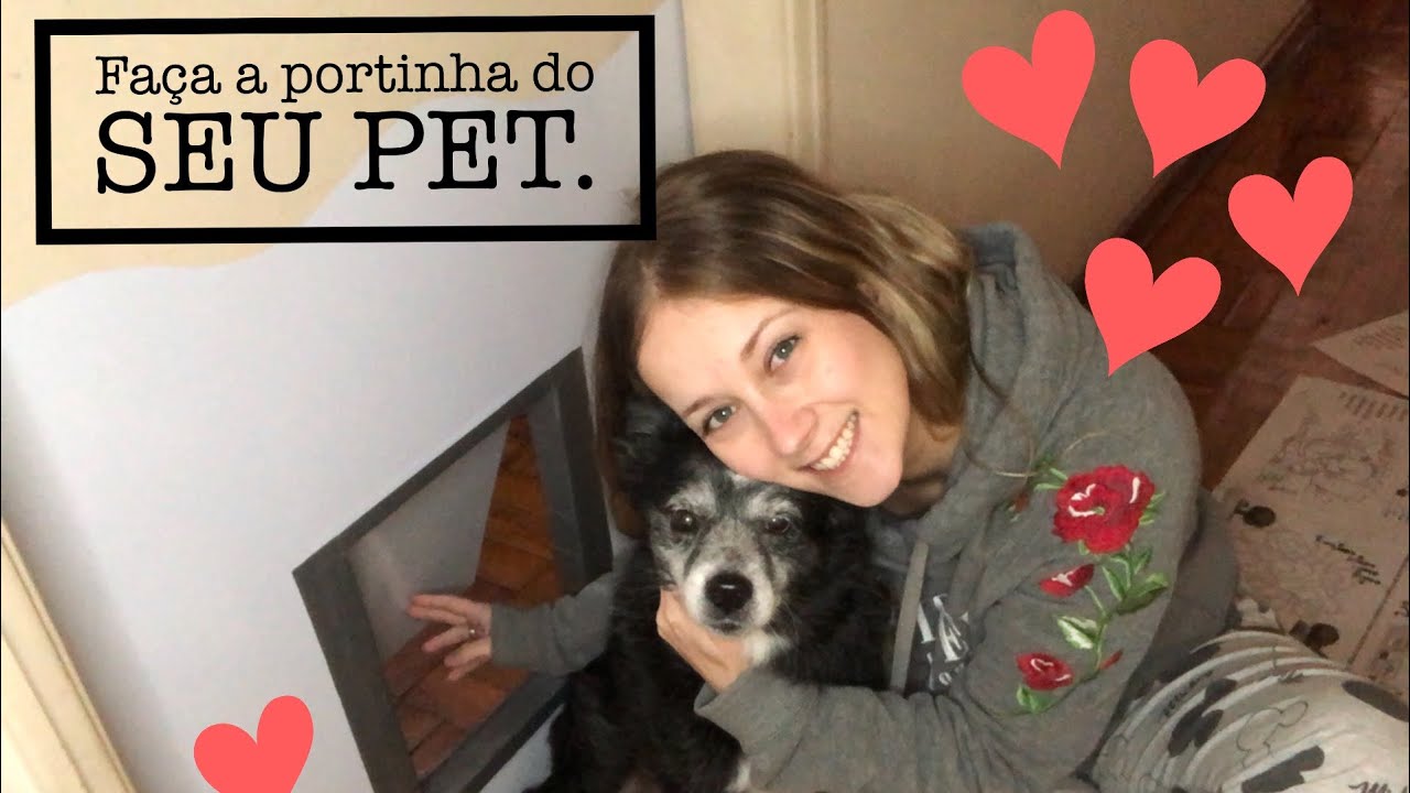 COMO FAZER PORTINHA para CÃES E GATOS 🐈🐕