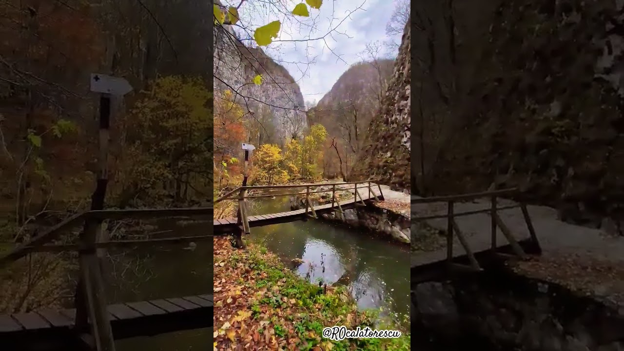 Toamna in Cheile V&acirc;rghișului, Harghita, Romania #mountains #calatorii #shortsfeed #shortsvideo