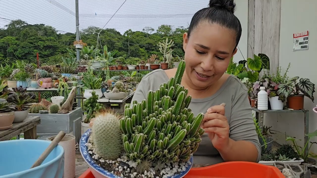 Separando cactus porque crecieron demasiado / Estoy pasando por un desierto youtubero 