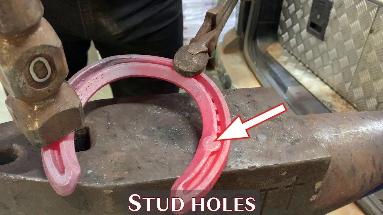 Episode 4. HMS Champion Concave Alterations Studholes