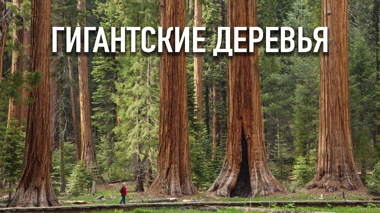 НАЦИОНАЛЬНЫЙ ПАРК 