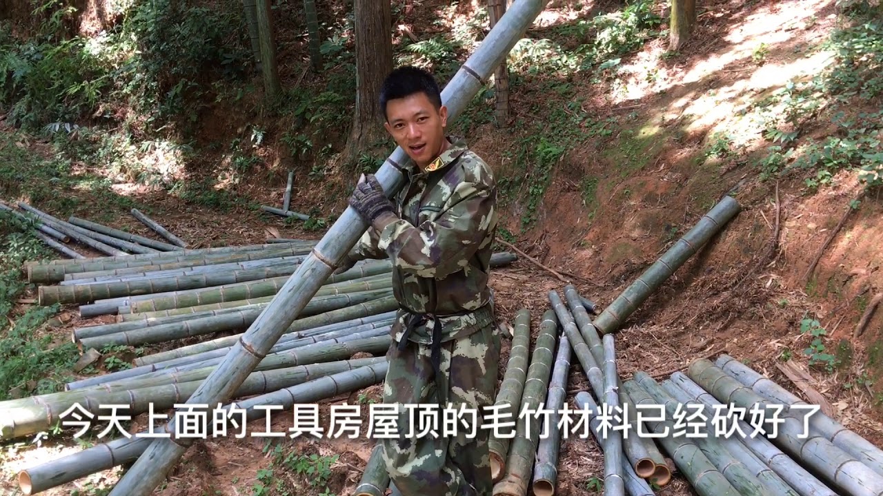 山村竹缘：今天上山砍做屋顶的大竹子