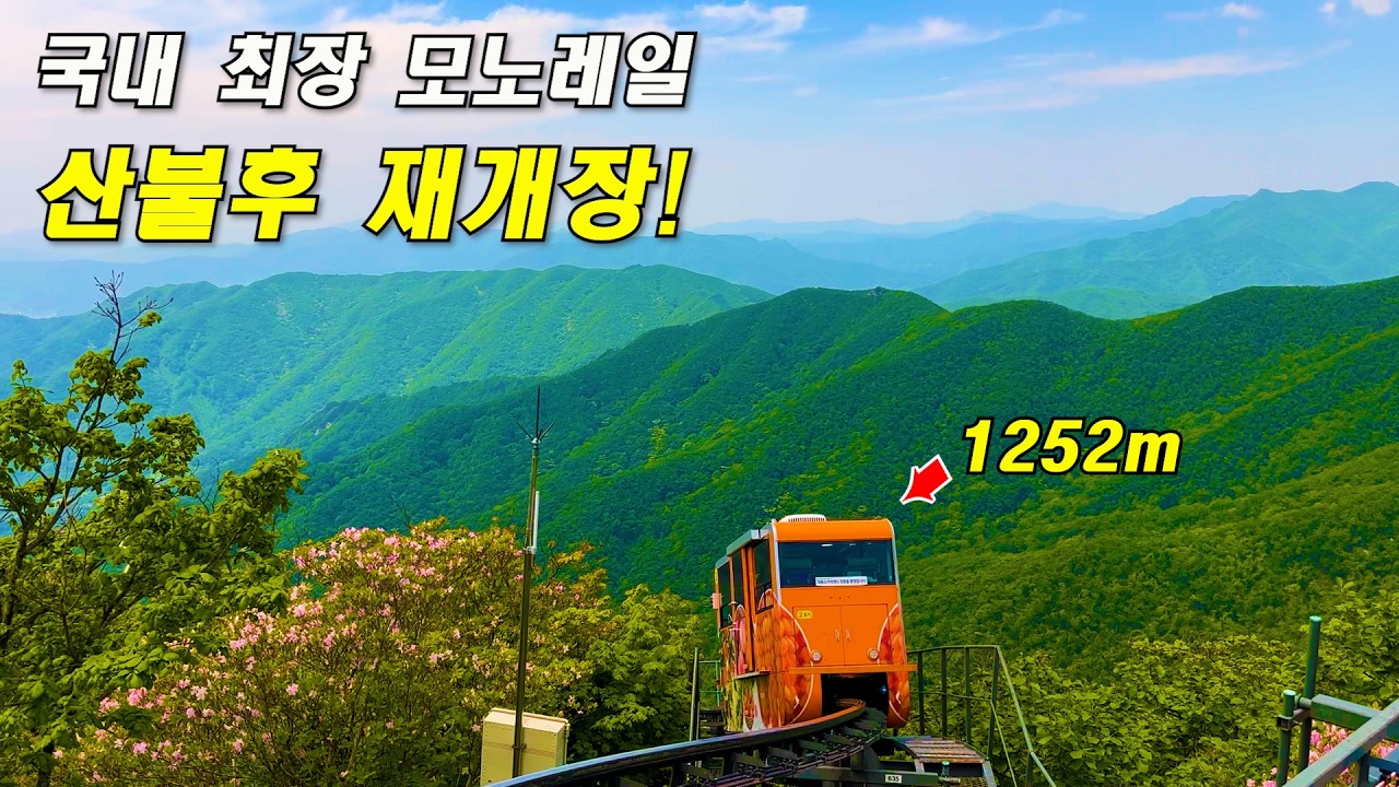 “1252m오르는 역대급 모노레일 재개장 - 정상까지 편하게 가요” 한국에 이런곳이/ 당일치기 여행