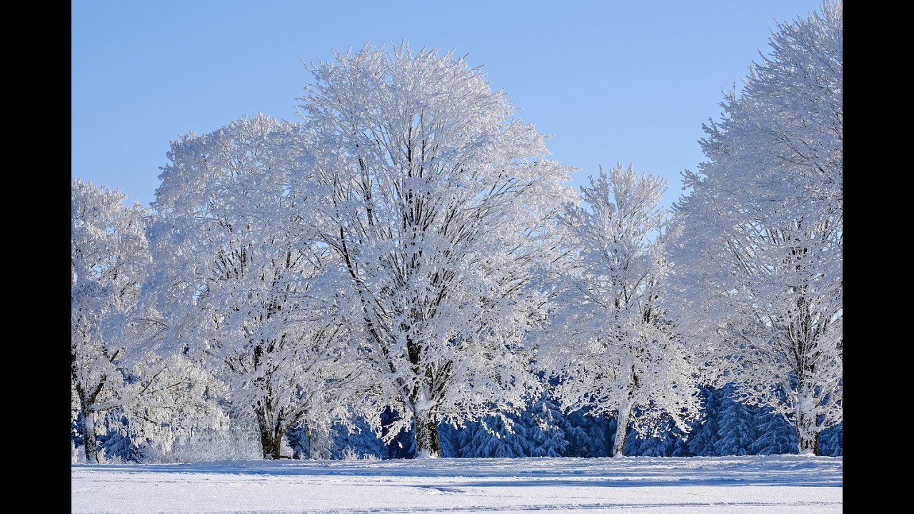 Here Are Our 10 Favorite Things About the Winter