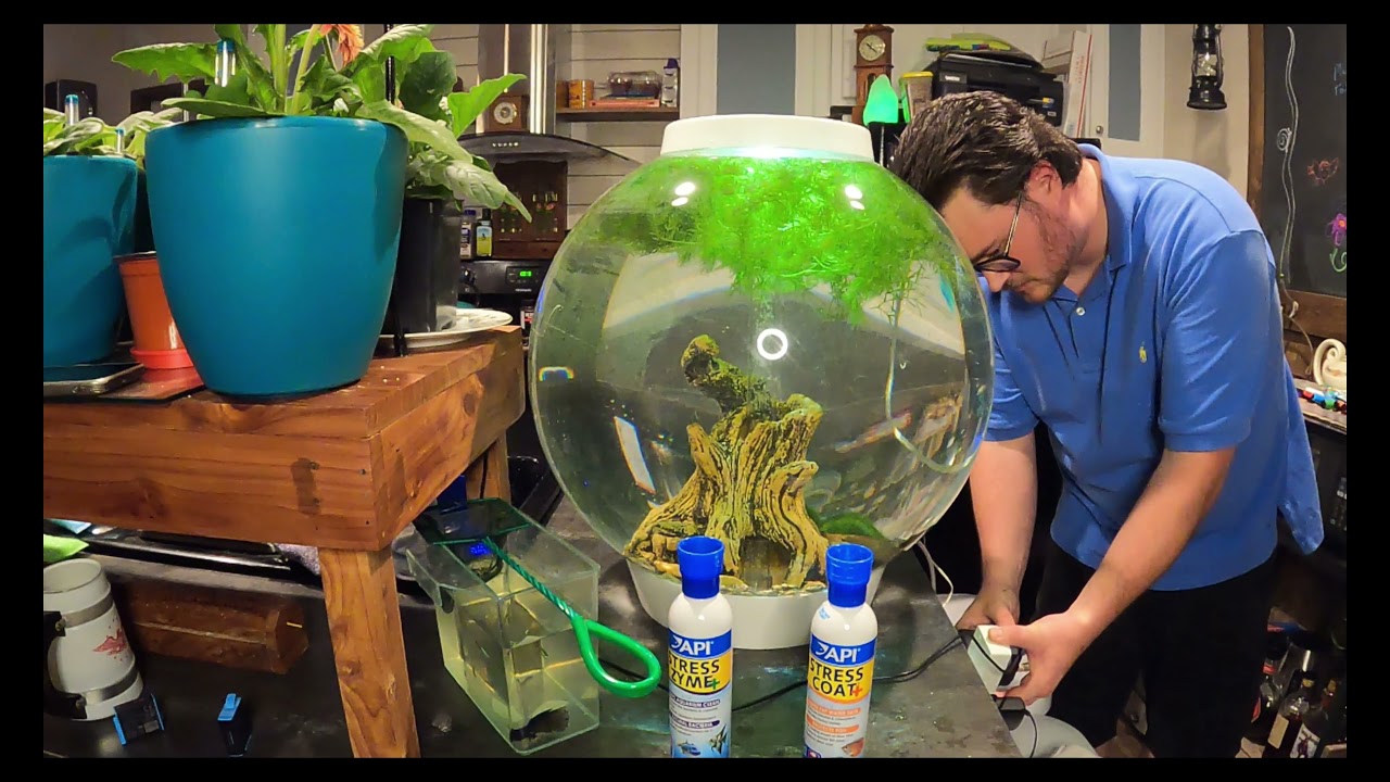 BiOrb Maintenance