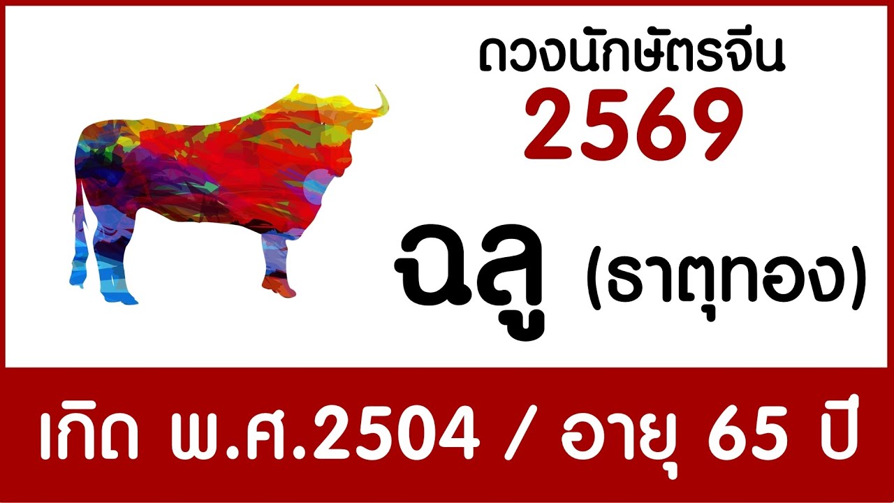 #ดวงคนปีฉลู (ธาตุทอง) เกิด พ.ศ.2504 #ดวงปี2569 #astrology #chineseastrology2026 #horoscope2026