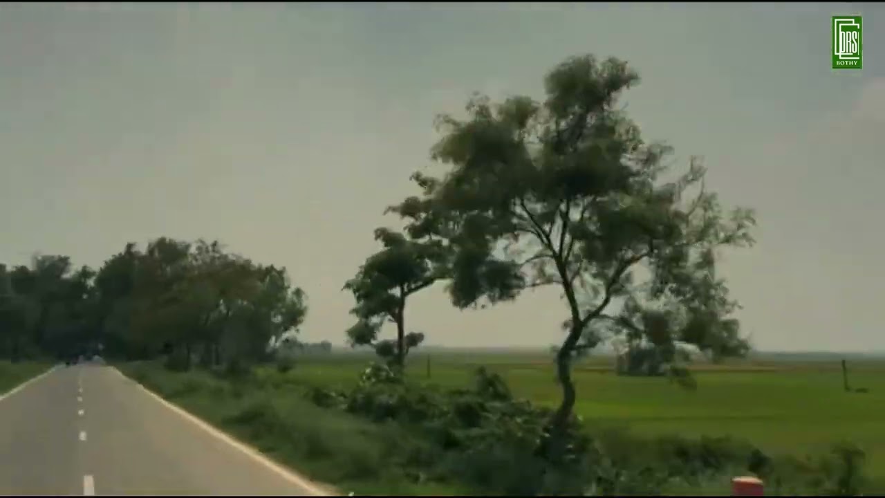 Beautiful Rural Road View 🌿 | Gramer Rasta
