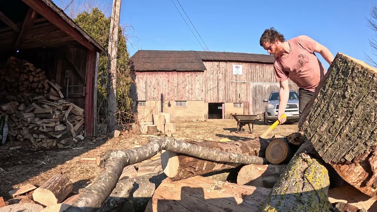 Daily Firewood: day 32