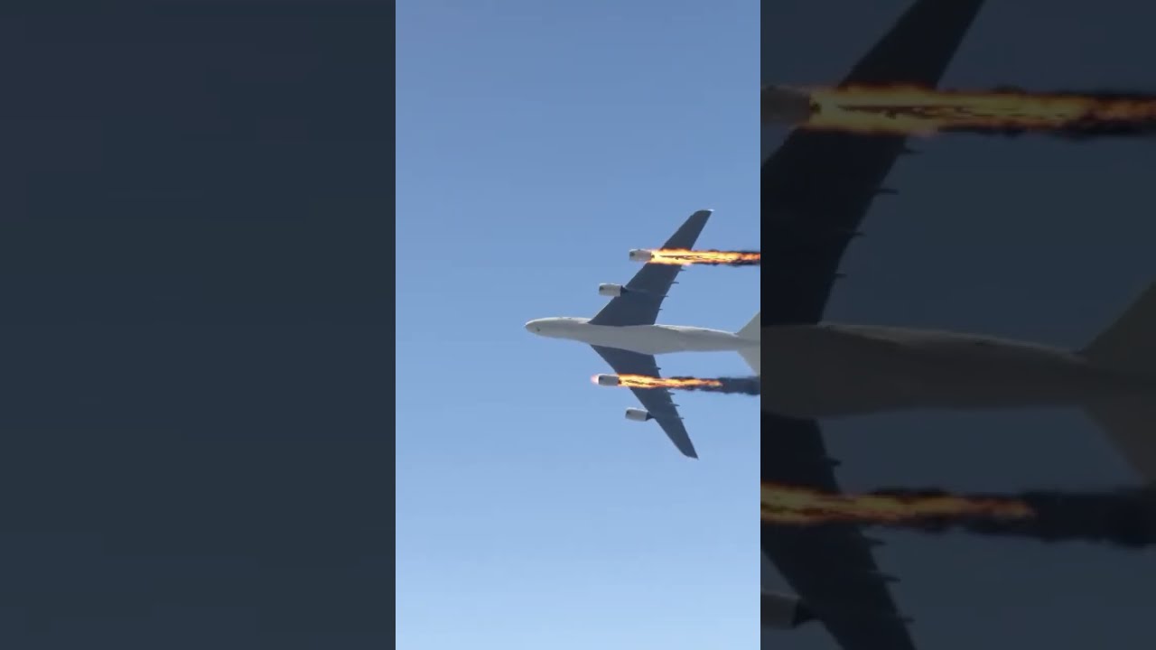 Cow Accidently Came During Airplane Landing