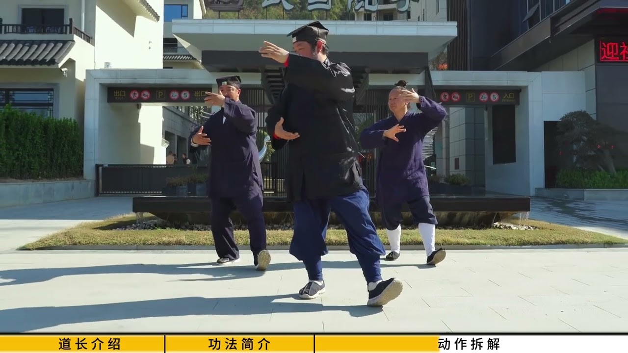 5 Animal Qi Gong Turtle - Wudang Xuanwupai 
