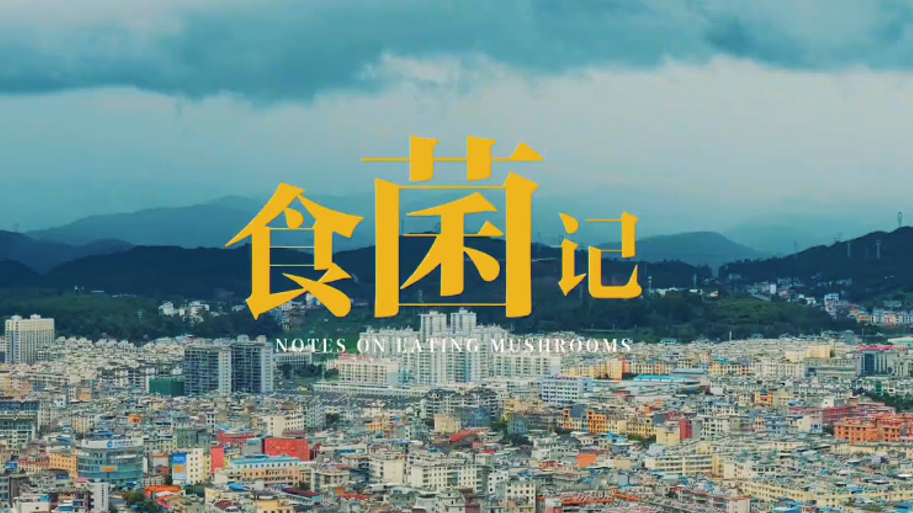 云南吃菌子应该选择哪座城市？南华？昆明？普洱？