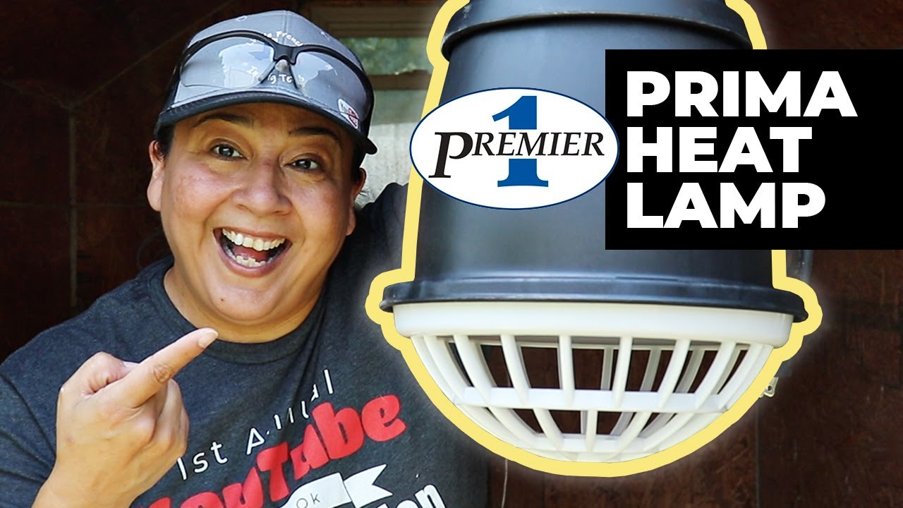A Safer Way to Heat Your Chicken Brooder | Premier1 Prima Heat Lamp