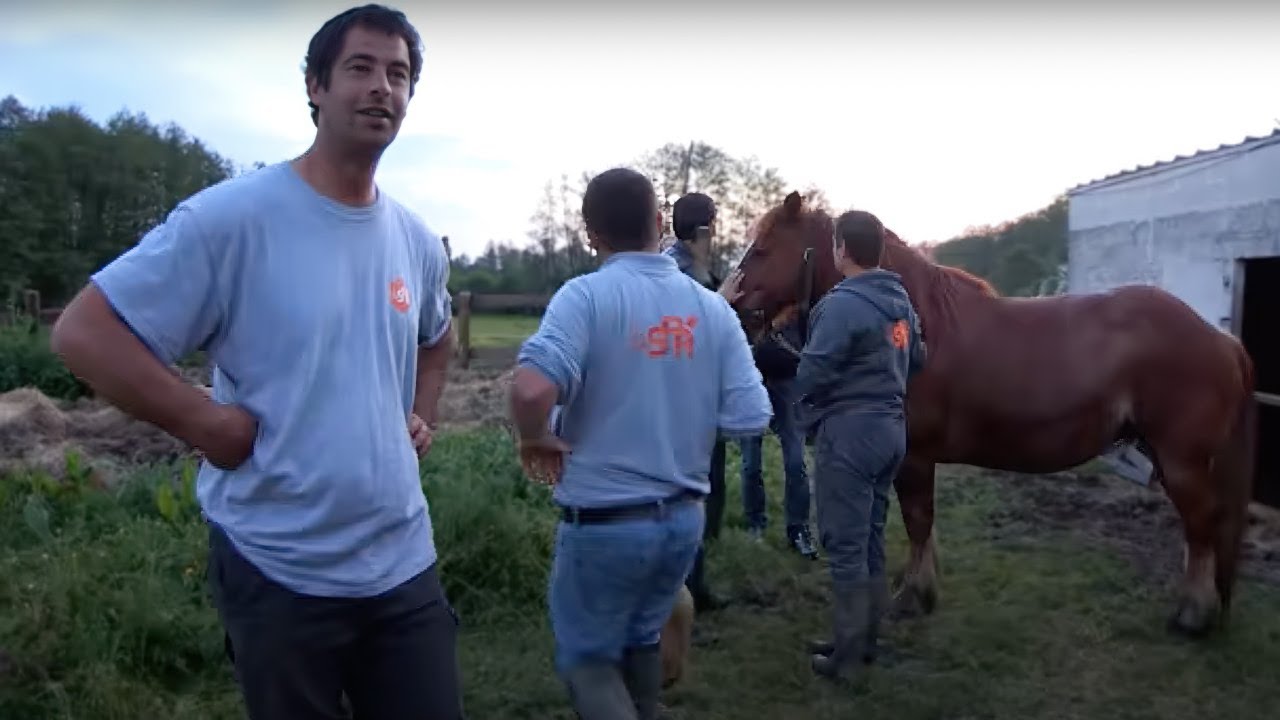 Des chevaux à la SPA !