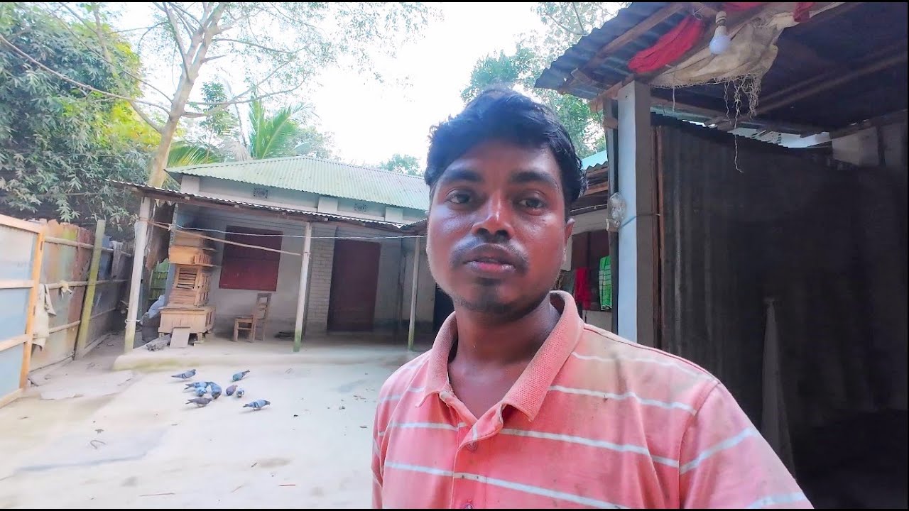 সারাদিন মাঠের কাজ শেষে বাড়ি ফিরে গবাদি পশুপাখি লালন পালনে বেস্ত || Dibanishi Protidin