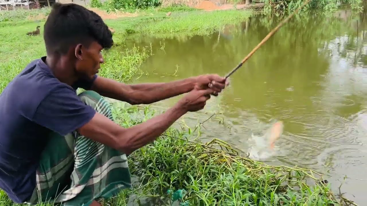 Hook Fishing || Traditional Hook Fishing || Village Daily Life (part-07)