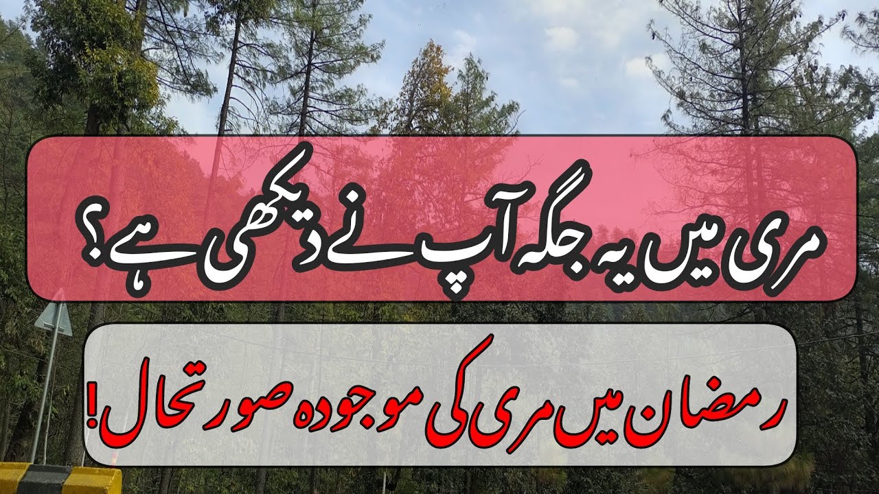 Murree live Today | Mall Road & Silent Streets | Unseen Place of Murree | 4 March 2026