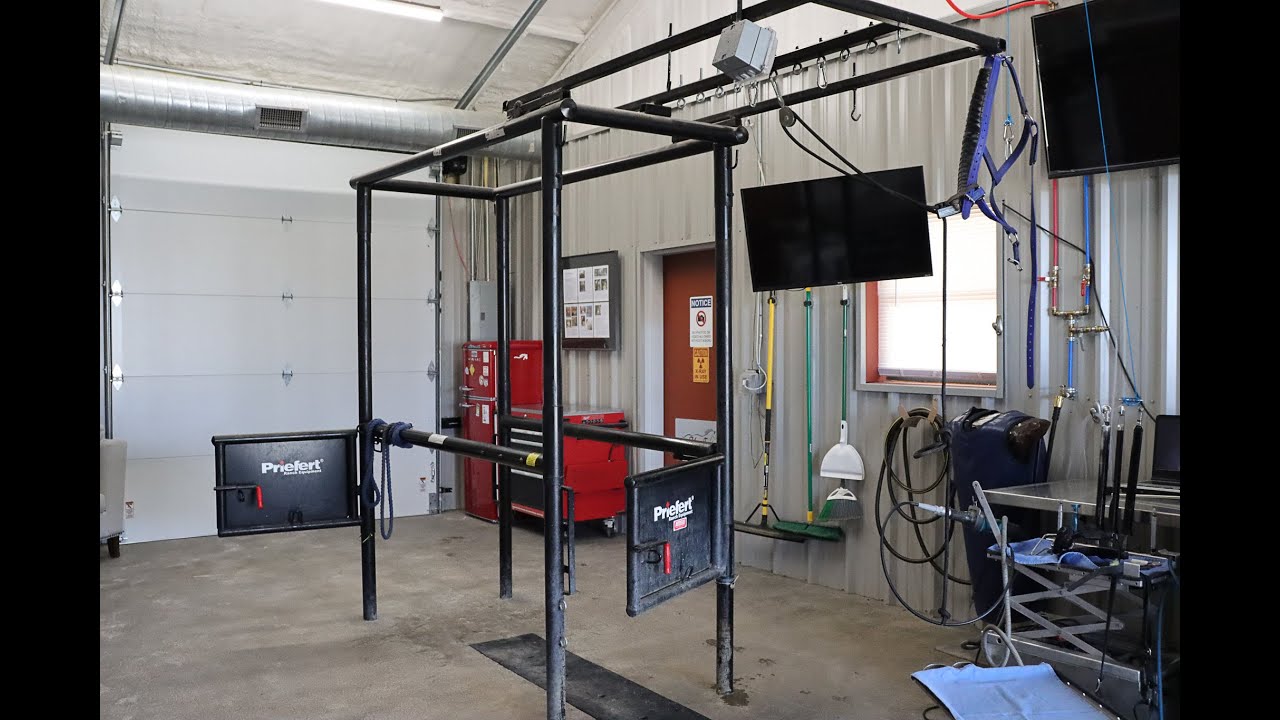 Equine Vet Clinic Design: How to Provide a Safe & Effective Work Environment for Horses