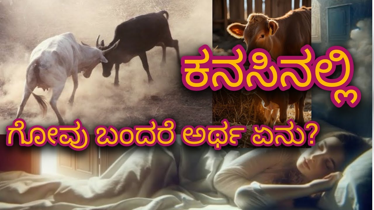 ಕನಸಿನಲ್ಲಿ ಗೋವು ಬಂದರೆ ಅದರ ಅರ್ಥ ಏನು ಗೊತ್ತೇ#gomata   #vastu #kannada #viralvideo