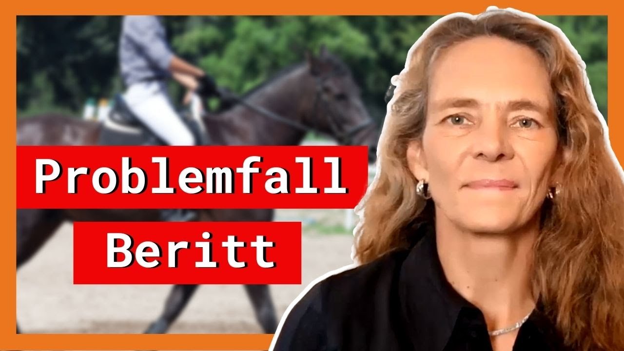 Wie schlimm ist Beritt wirklich f&uuml;r dein Pferd?