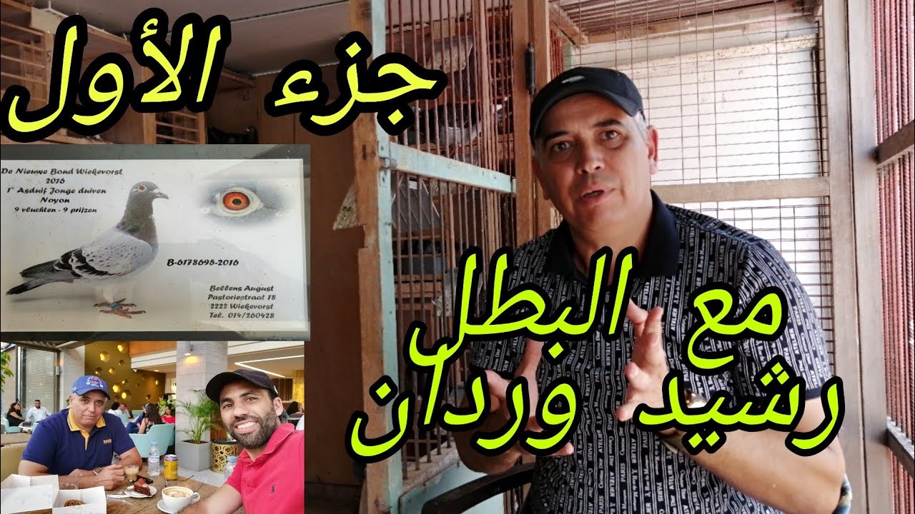 جزء الأول مع نصائح مهمة مع  البطل رشيد وردان و معاير التي تخص فترة تزاوج وأشياء أخرى