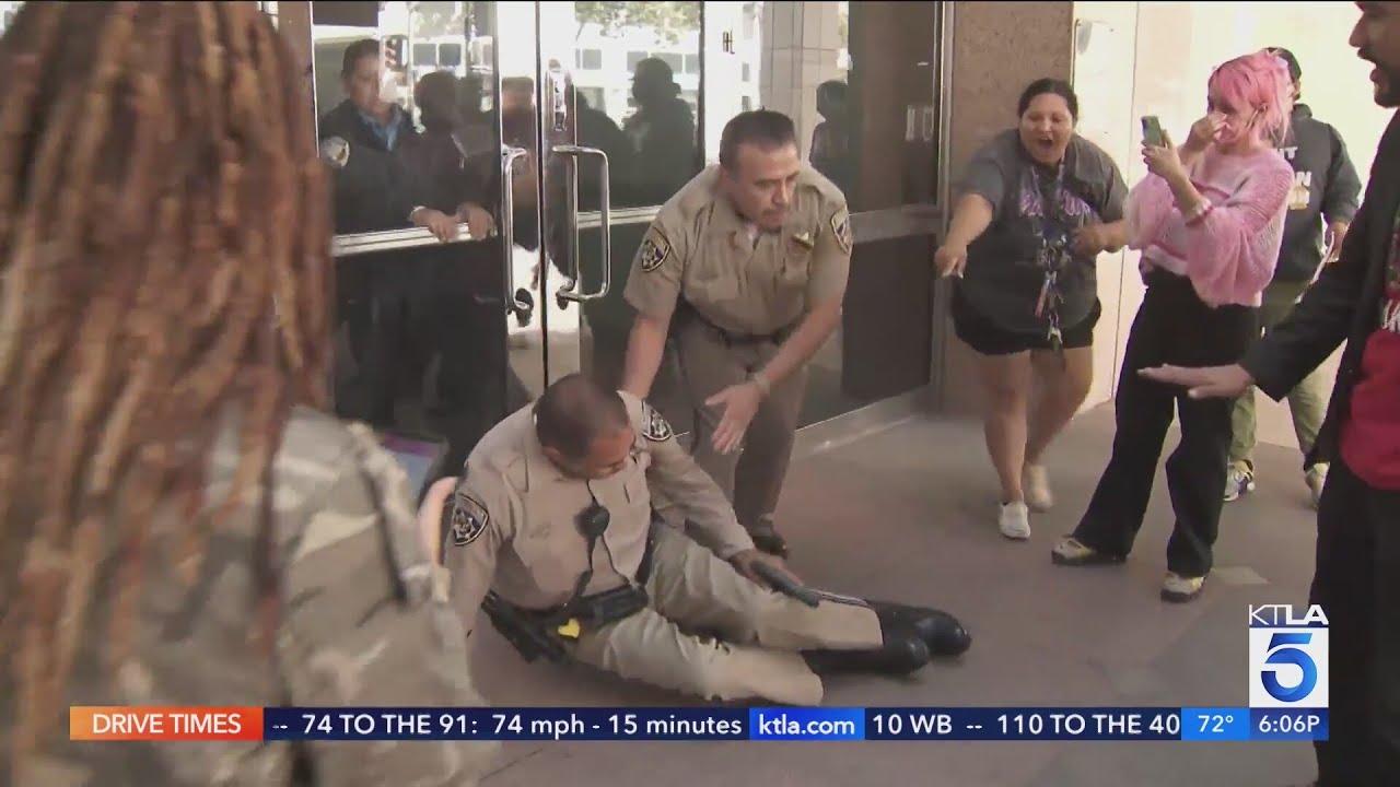 CHP officer draws gun during scuffle with protester
