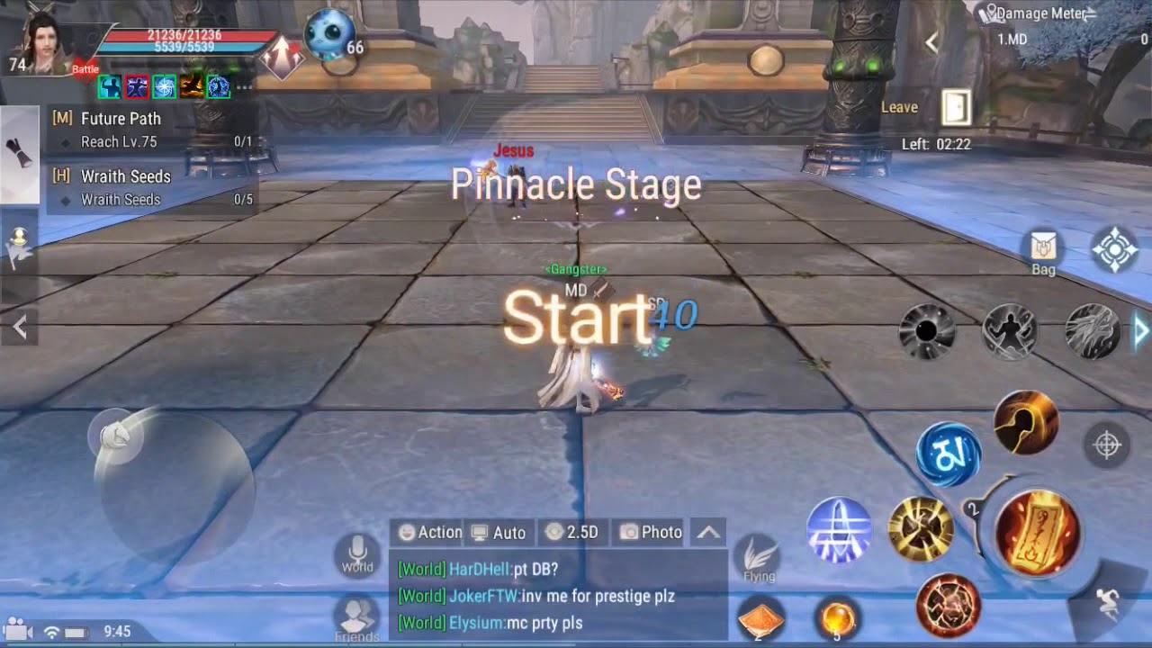 PERFECT WIRLD MOBILE ARENA MAGO(EVIL)