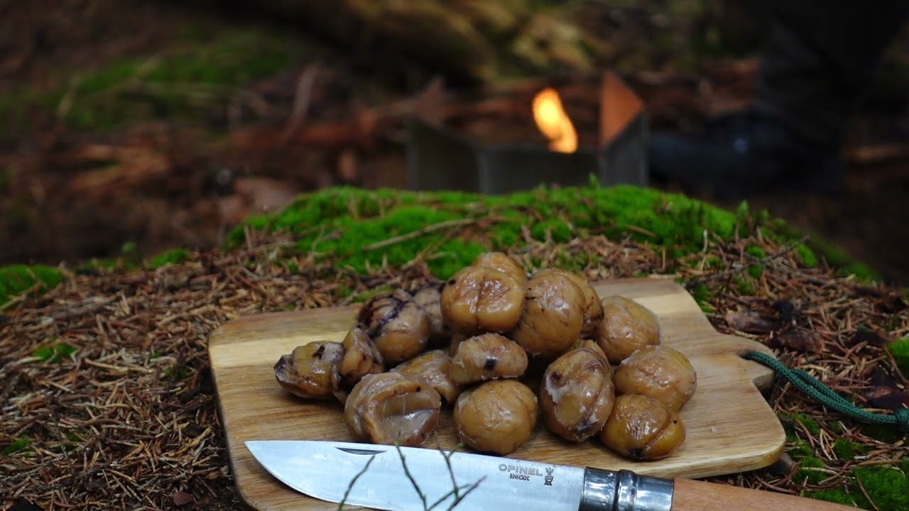 Vařené jedlé kaštany s anglickou slaninou a cibulí v sýrové omáčce. Můj vlastní recept. Vyzkoušejte.