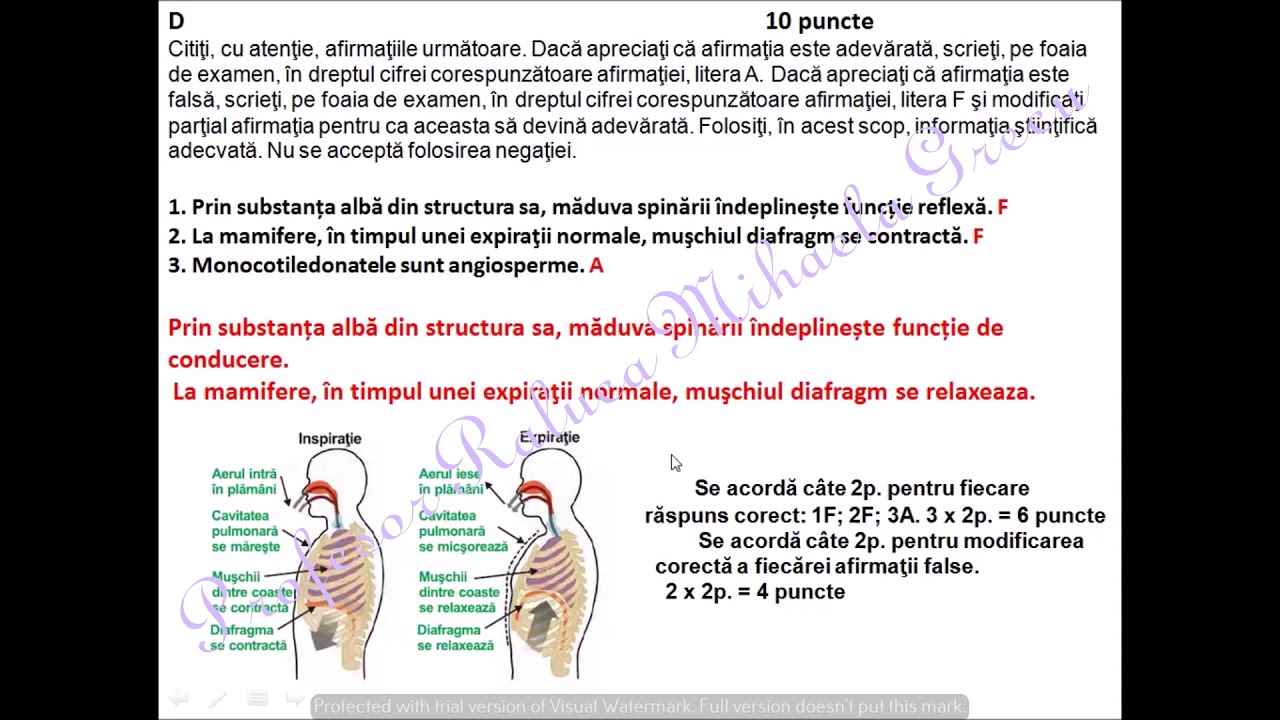 BACALAUREAT BIOLOGIE VEGETALA - test antrenament rezolvat