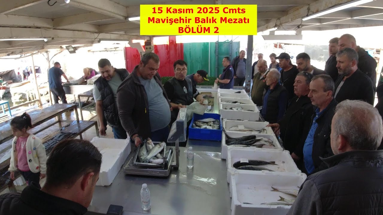 15 KASIM 2025 CMTS. MAVİŞEHİR BALIK MEZATI 2. BÖLÜM.