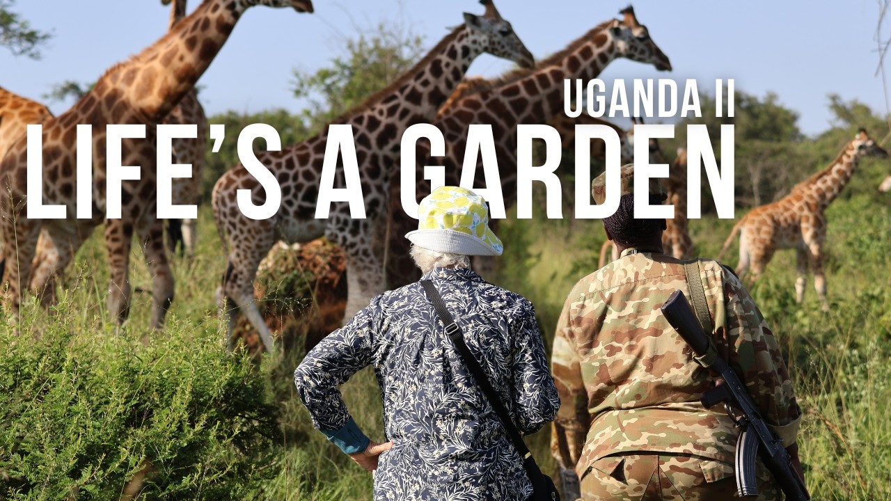 Uganda II