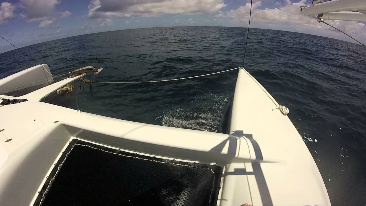 barrink catamaran