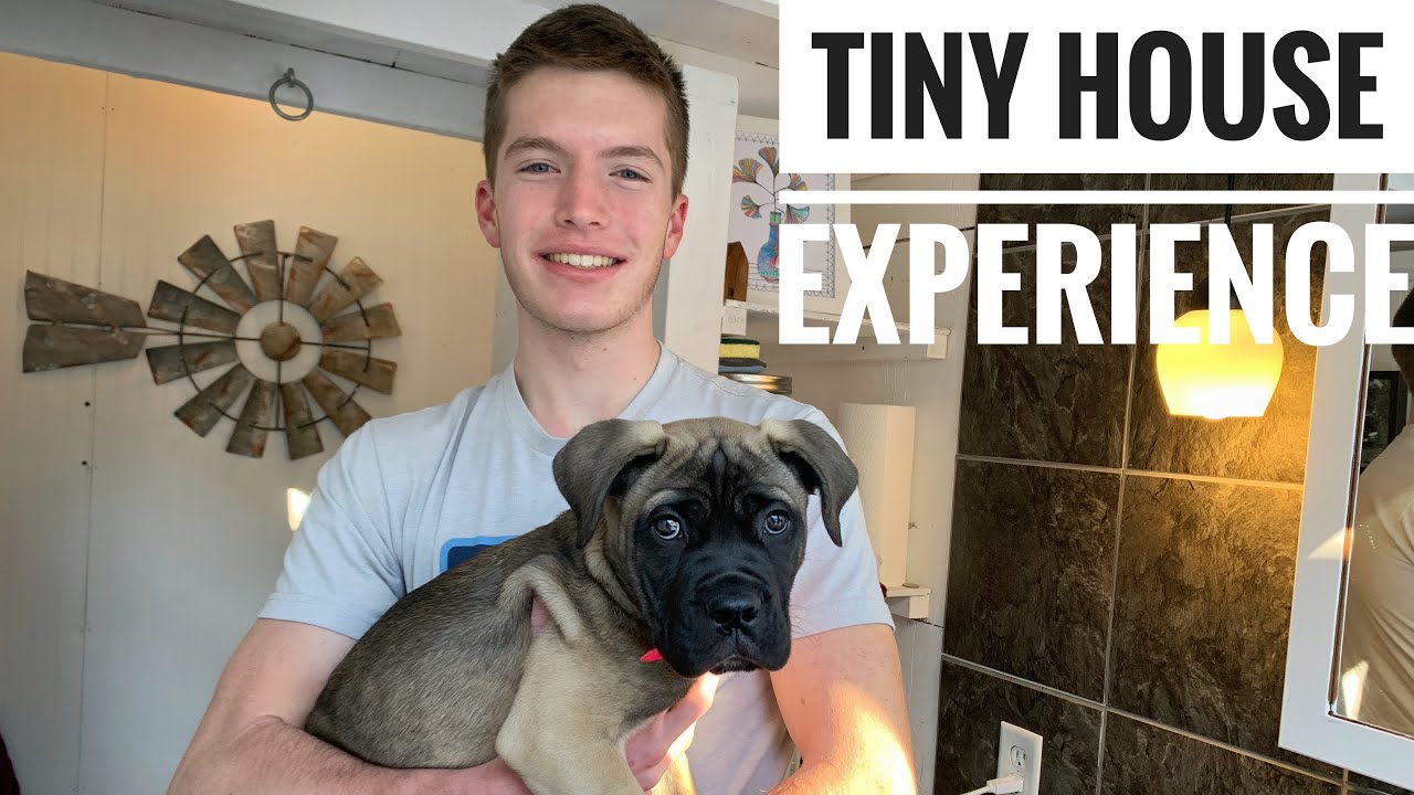 Bullmastiff Tiny House Experience!