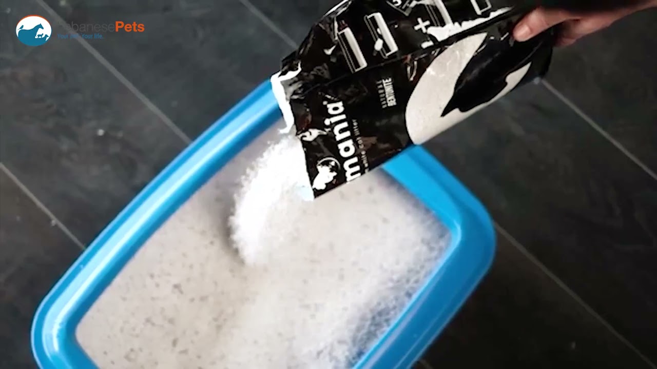 Catmania Cat Litter - Lebanese Pets