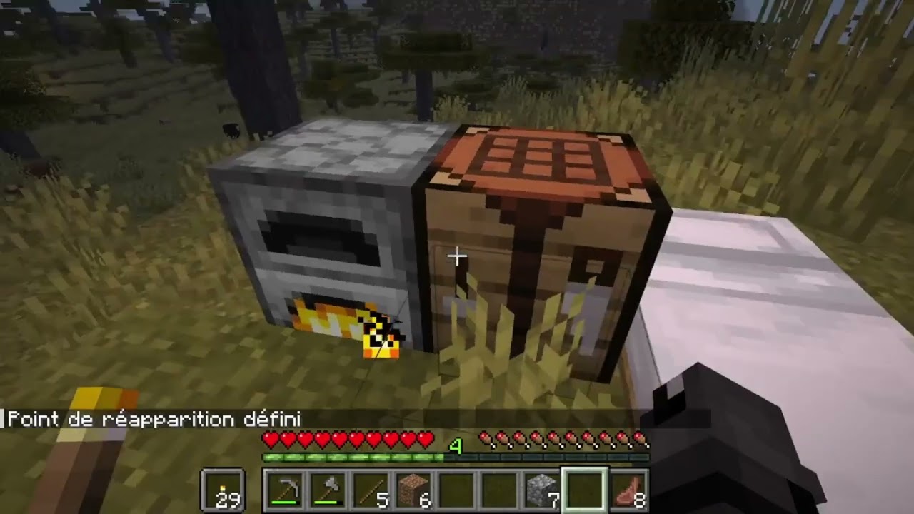 Survie minecraft chill !