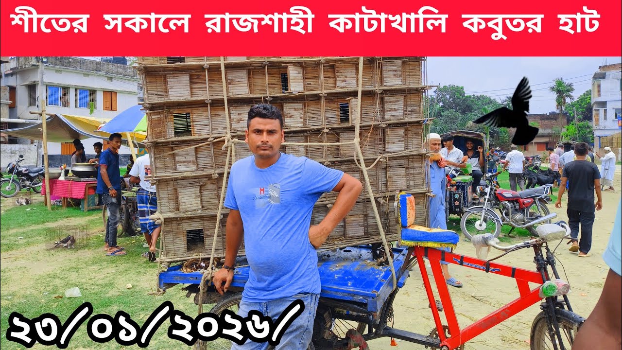 hand Betting🔥pigeons at!!Katakhali|| Market🔥|| Katakhali pigeon market|Pigeon Market#Realpigeonlover