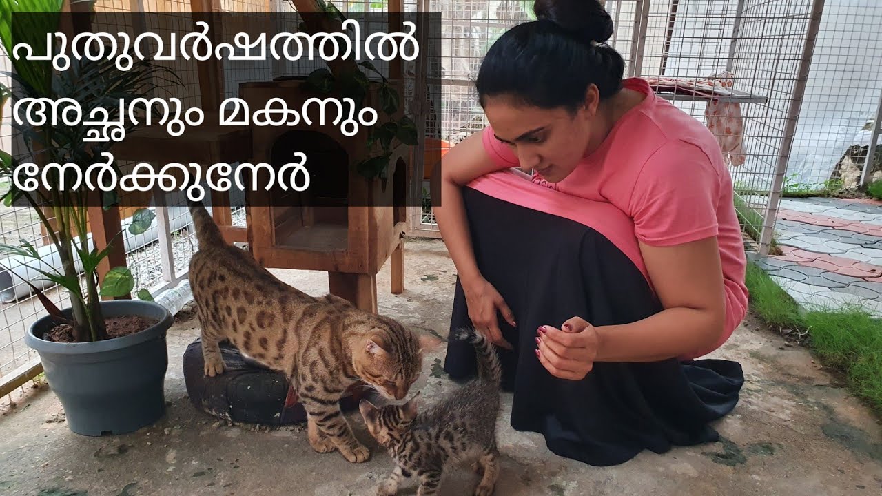 പുതുവർഷത്തിൽ അച്ഛനും മകനും ആദ്യമായി കണ്ടുമുട്ടിയപ്പോൾ