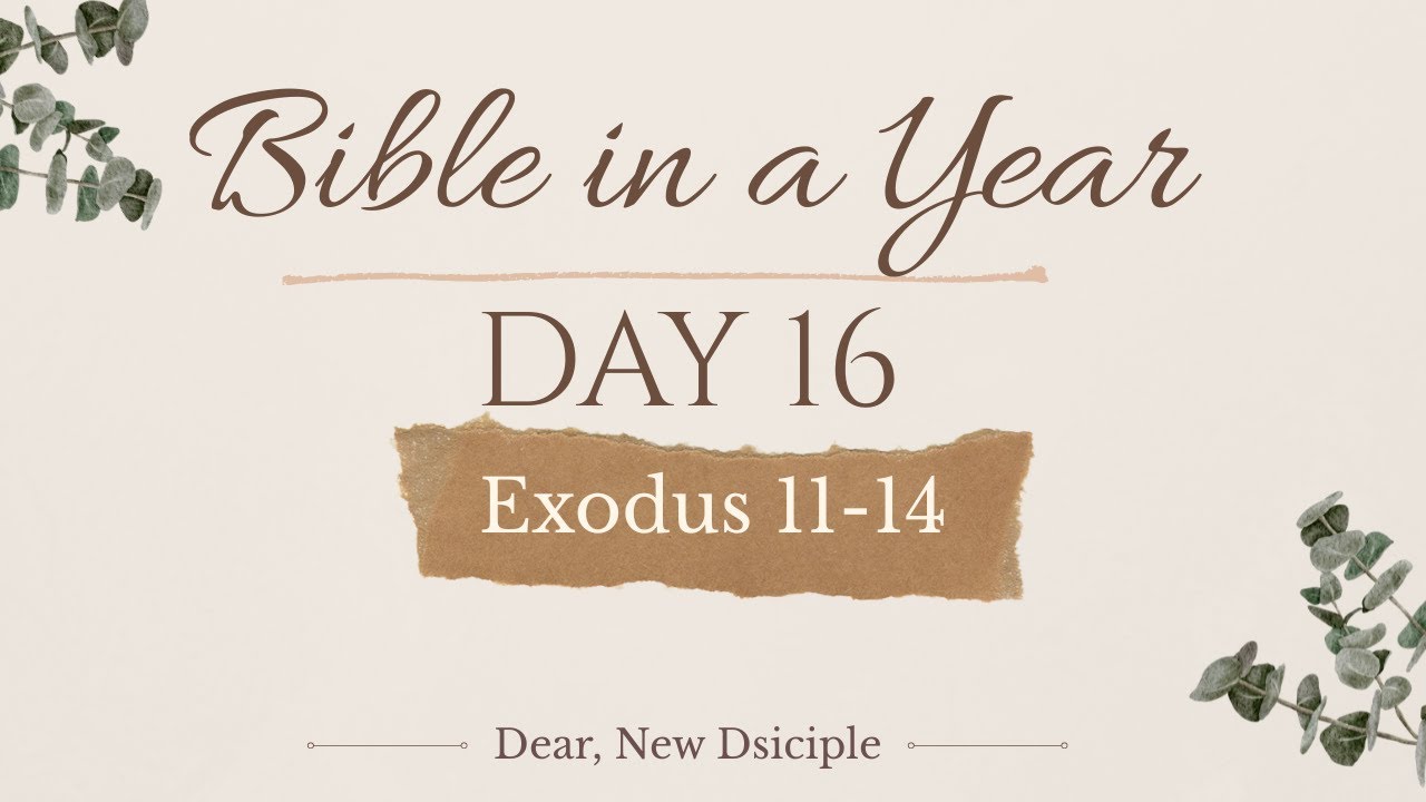 Bible In A Year | DAY 16 | Exodus 11-14