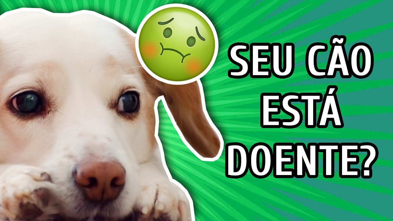 20 SINAIS QUE INDICAM QUE SEU CACHORRO ESTÁ DOENTE!