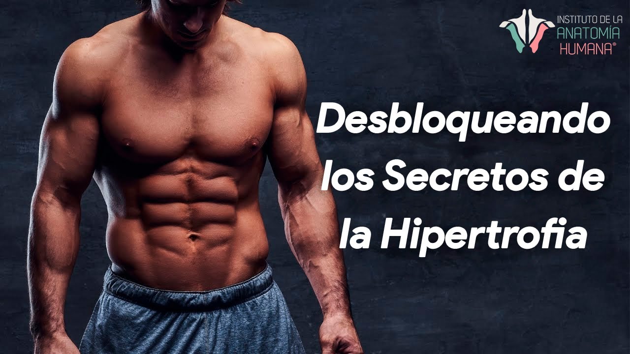 La CLAVE para desarrollar y mantener los MÚSCULOS