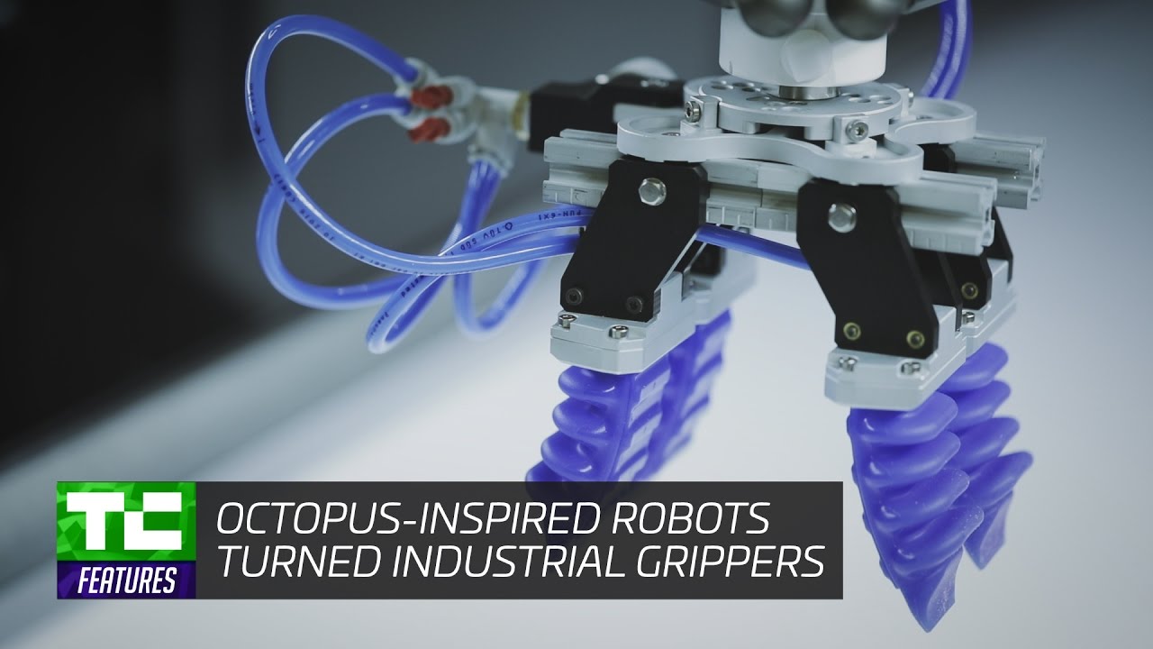 Промышленные захваты для роботов Soft Robotics, вдохновлённые осьминогами