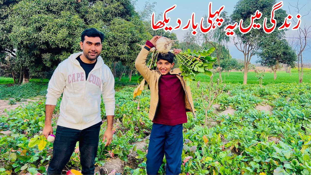 Zindagi mn ye Pahli bar Daykha | Village life in Pakistan | Shoaib Maharzada