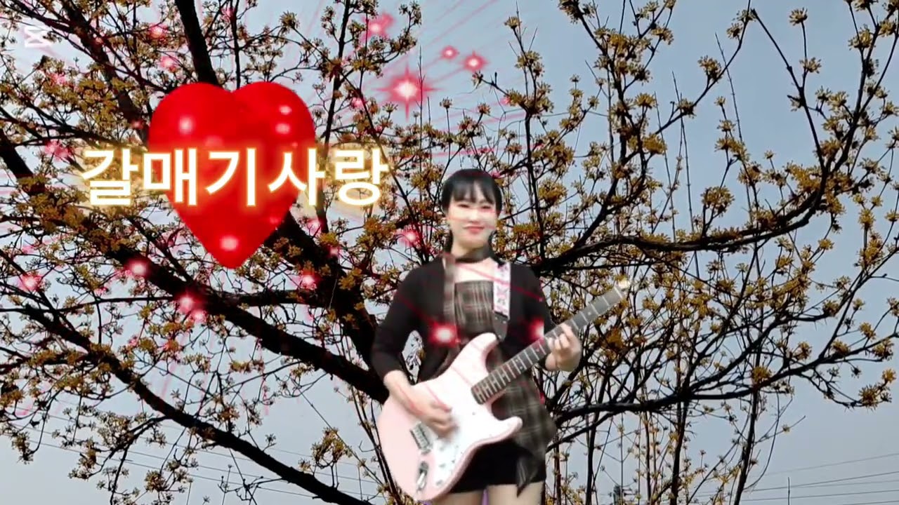 #가버린사랑 #설운도 ##별빛농원 #커버 