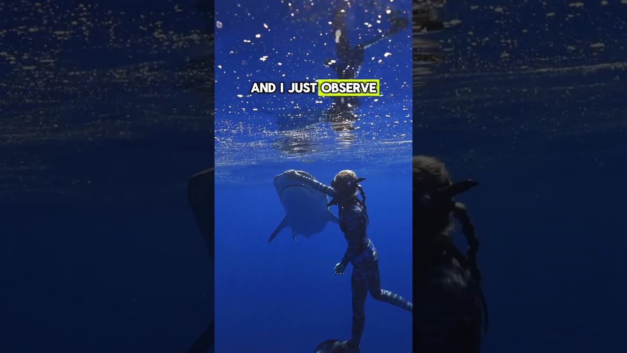 Quick shark safety tip 🤙🏼 #Sharks #Safety #Education #Respect #SaveSharks #A