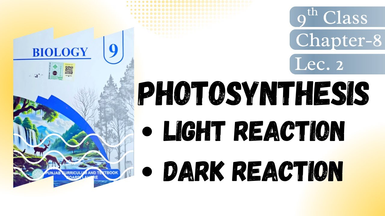 Photosynthesis | Light Reaction | Dark Reaction | 9th Class  BurhanBiology