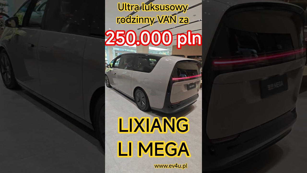 Li Mega rodzinny van za przystępną cenę