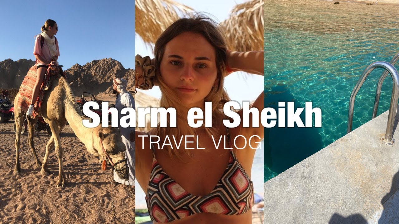 SHARM EL SHEIKH - travel vlog 🐠