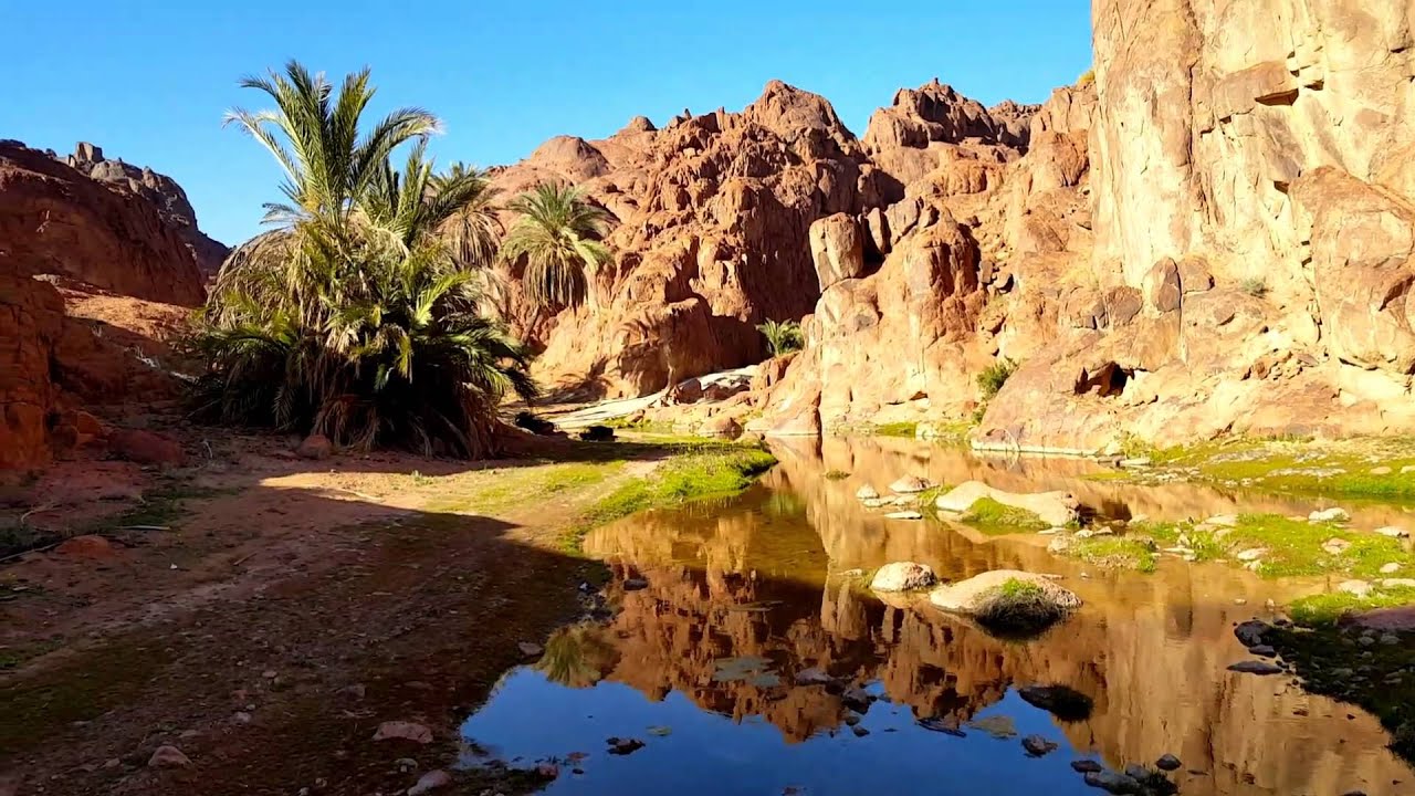 ربيع جبل آجا بمنطقه حائل وسم 1437